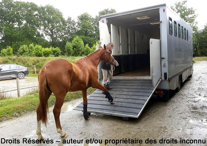 Renault Midlum 220.16 dCi, transport de chevaux, 6xx3-xxxx, Centre National des Sports de la Défense ; 2019