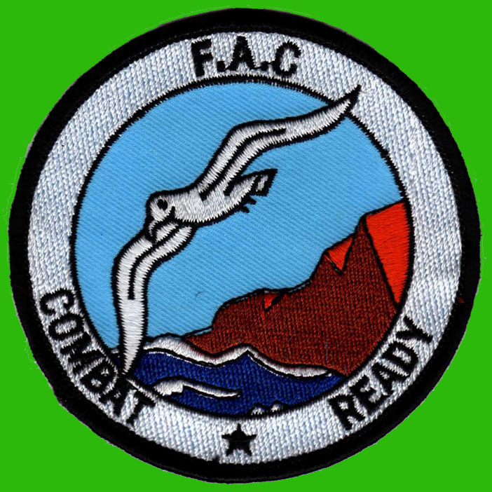 FAC : Forward Air Controller